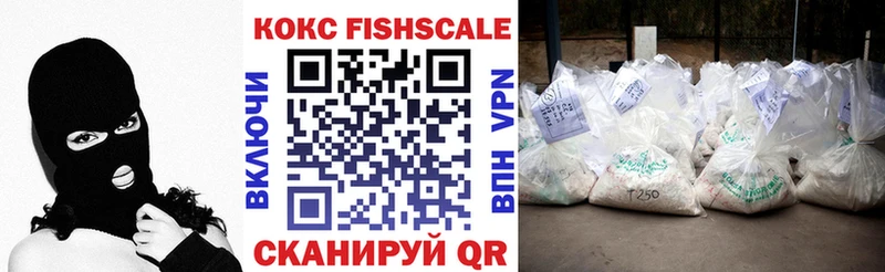 как найти наркотики  Десногорск  COCAIN FishScale 