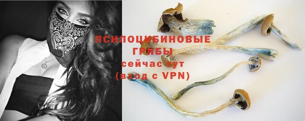 бошки Алексеевка