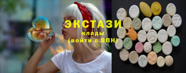 стаф Алзамай