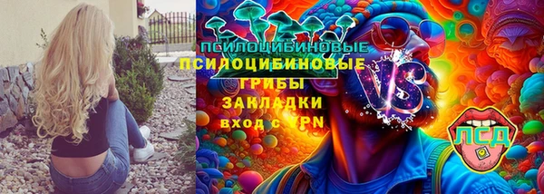 бошки Алексеевка
