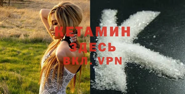 стаф Алзамай