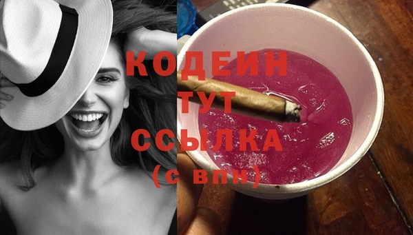 ГАЛЛЮЦИНОГЕННЫЕ ГРИБЫ Ельня